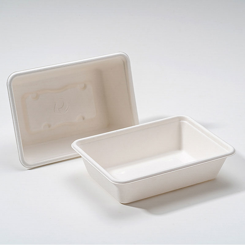 Neden Bagasse Square Box Sürdürülebilir Gıda Ambalajının Geleceği?